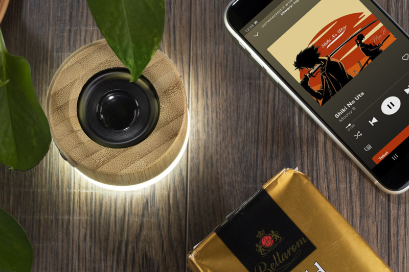 Głośnik reklamowy głośnik bezprzewodowy rorat 09148-09_m Głośnik bezprzewodowy RORAT 09148-09_m